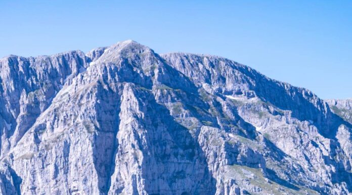 Λεμόνι , σύμμαχος των ultra αγώνων .